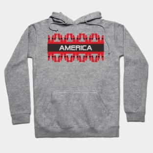 America Hoodie